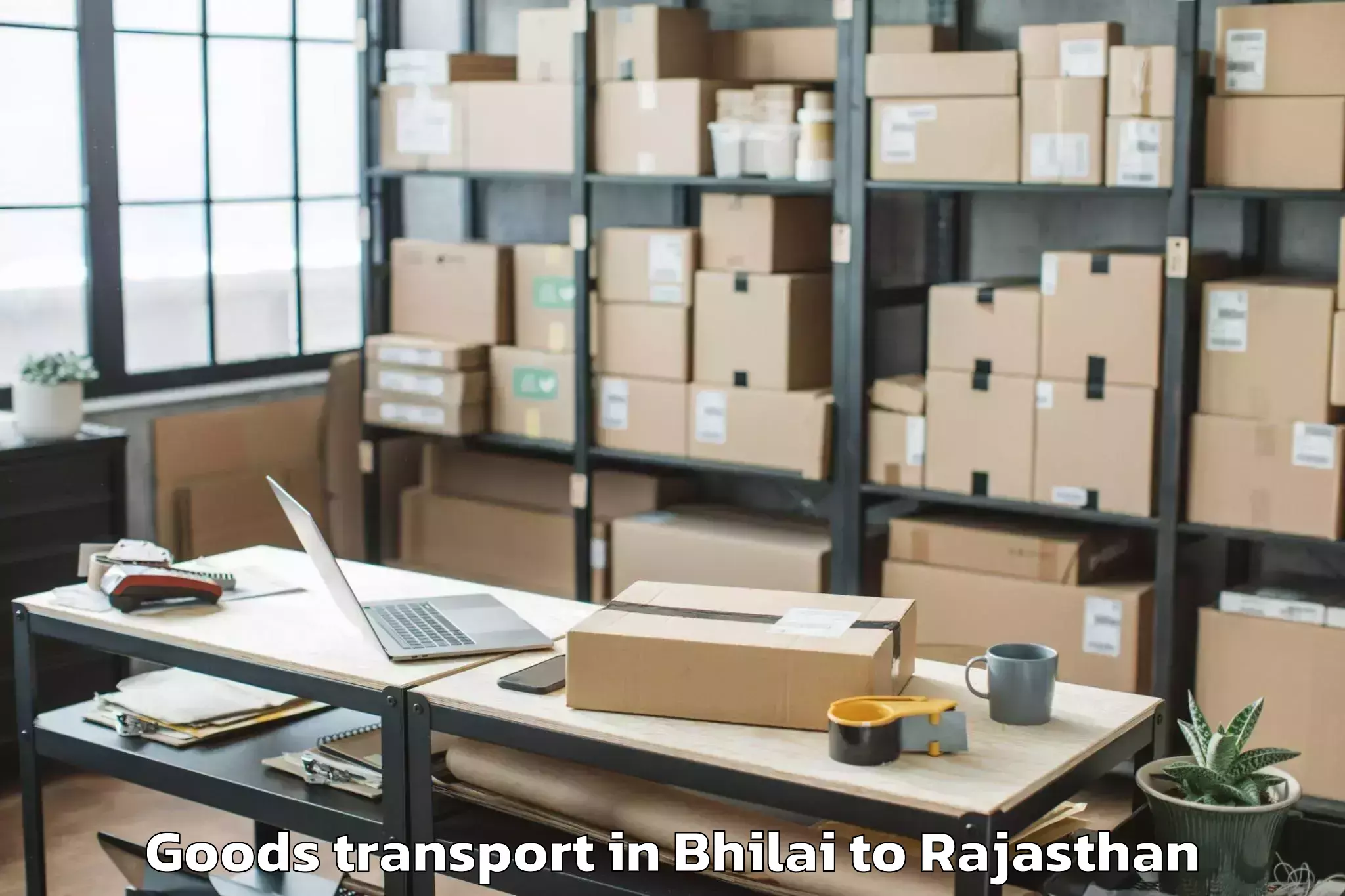 Affordable Bhilai to Dabok Airport Udr Goods Transport